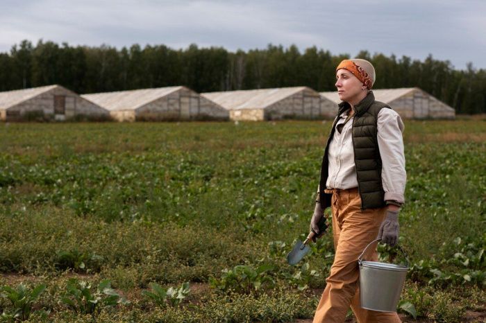 В Ростовской области хотят ввести кредитные каникулы для пострадавших от непогоды аграриев