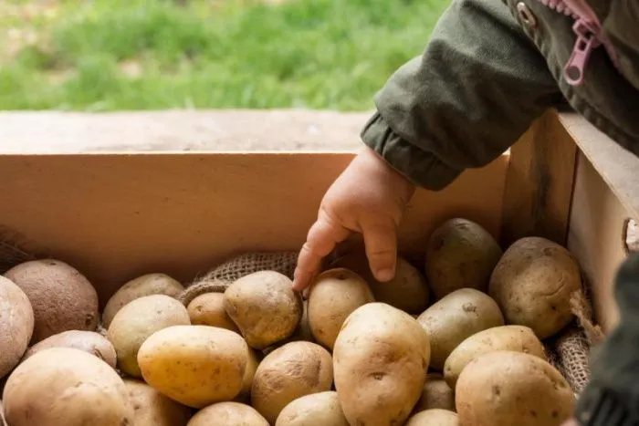 Цены на картофель подняли на 25% фермеры Ростовской области