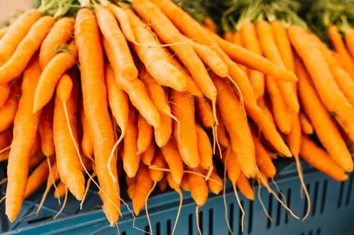 140 тонн моркови ушли на экспорт в Казахстан из Волгоградской области